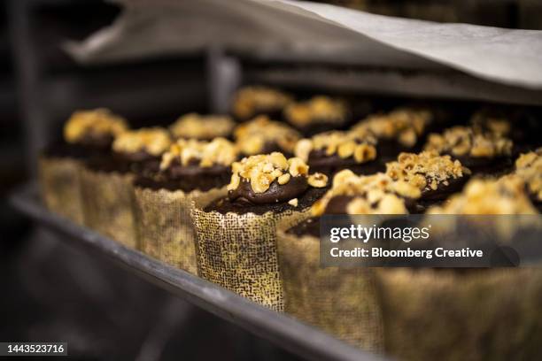 muffins on a baking tray - chicago sweets stock pictures, royalty-free photos & images