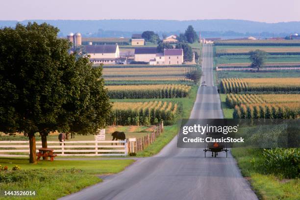 1990s Horse And Carriage On Road Through Amish Farms Lancaster County Pennsylvania .