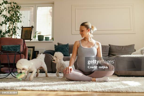 young pregnant woman doing prenatal yoga at home - dog stretching stock pictures, royalty-free photos & images
