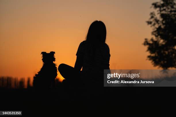 sunset - evening walk stock pictures, royalty-free photos & images