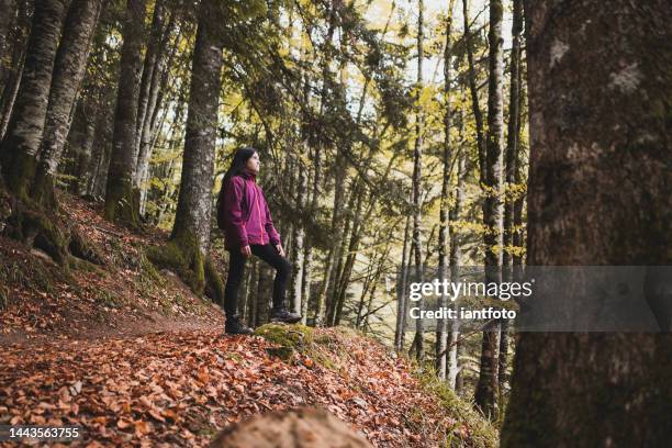 young girl looking at beautiful irati forest, navarre, spain. - navarra stockfoto's en -beelden