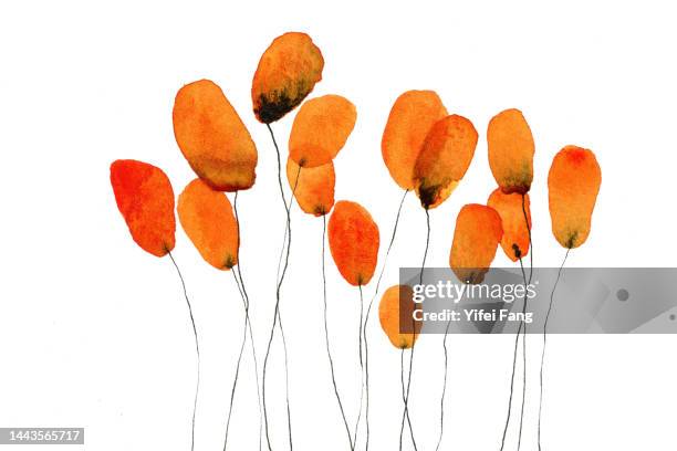 cluster of orange flowers against white background - watercolor flowers stock pictures, royalty-free photos & images