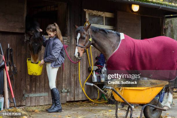 completing her daily routine - daily bucket imagens e fotografias de stock