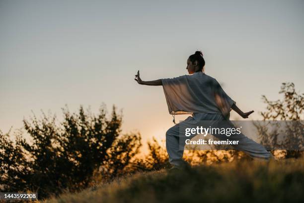 donna che fa tai chi al tramonto - taijiquan foto e immagini stock