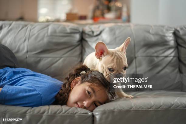 cuban girl laying on sofa with her lovely french bulldog - spanish and portuguese ethnicity stock pictures, royalty-free photos & images