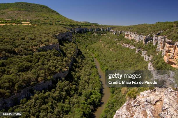 viewpoint of the ebro canyon,   pesquera de ebro, province of burgos, spain. - 布爾戈斯 個照片及圖片檔