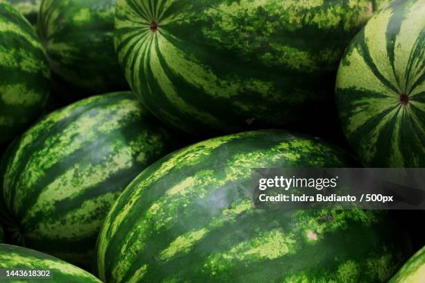 full frame shot of watermelons for sale at market,indonesia - melone stock-fotos und bilder