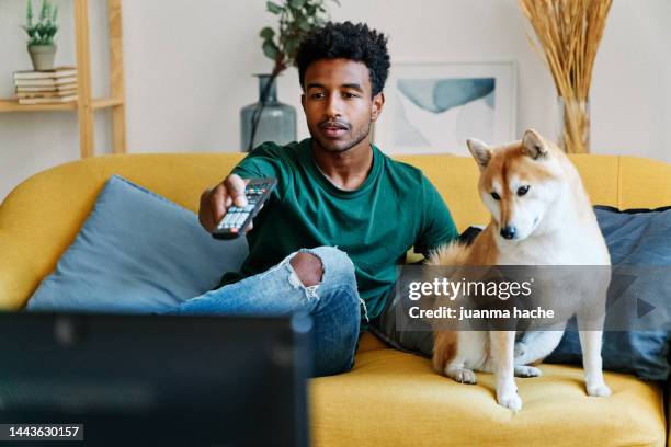 man sitting on sofa in living room with dog watching tv changing channels with remote control. - regarder tv photos et images de collection
