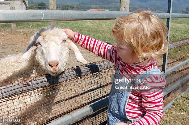 a little blonde girl petting a goat's head  - petting zoo stock pictures, royalty-free photos & images