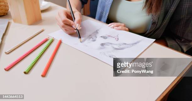 女性は絵を描いて描いている - artists with animals ストックフォトと画像
