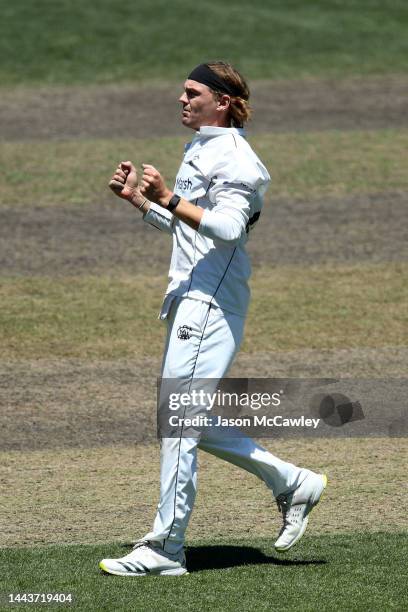 Corey Rocchiccioli of Western Australia celebrates after taking the wicket of Chris Tremain of the Blues during the Sheffield Shield match between...