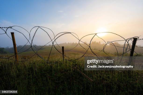 razor wire fence against clear sky - campo di battaglia foto e immagini stock