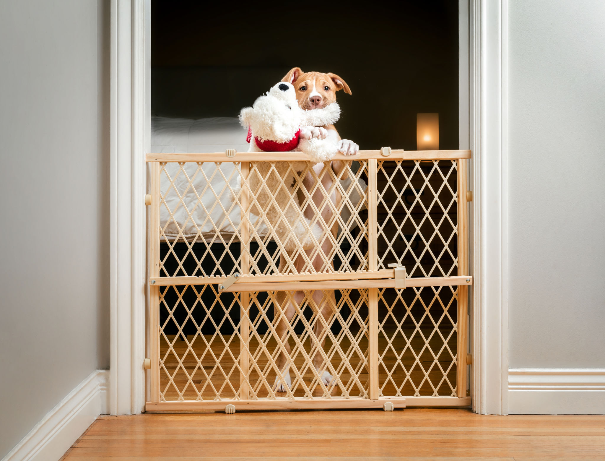 puppy proof home