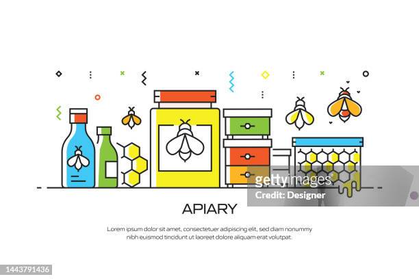 apiary related line style banner design for web page, headline, brochure, annual report and book cover - worker bee stock illustrations