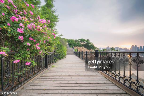 Sky Path Railing 416 Metal Garden Benches Stock Photos, High-Res Pictures, and Images ...