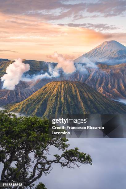 bromo and tengger caldera at sunrise, java, indonesia - eruption stock-fotos und bilder
