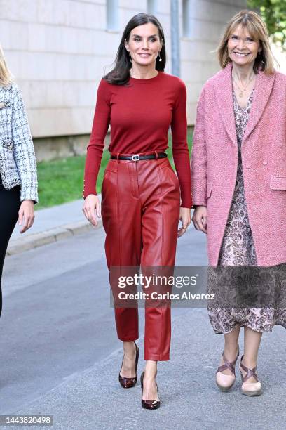 Queen Letizia of Spain attends events related to Mental Health and Intellectual Disabilities at Parc Sanitari Sant Joan de Deu on November 23, 2022...