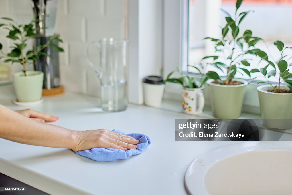 Cleaning of the house and apartment
