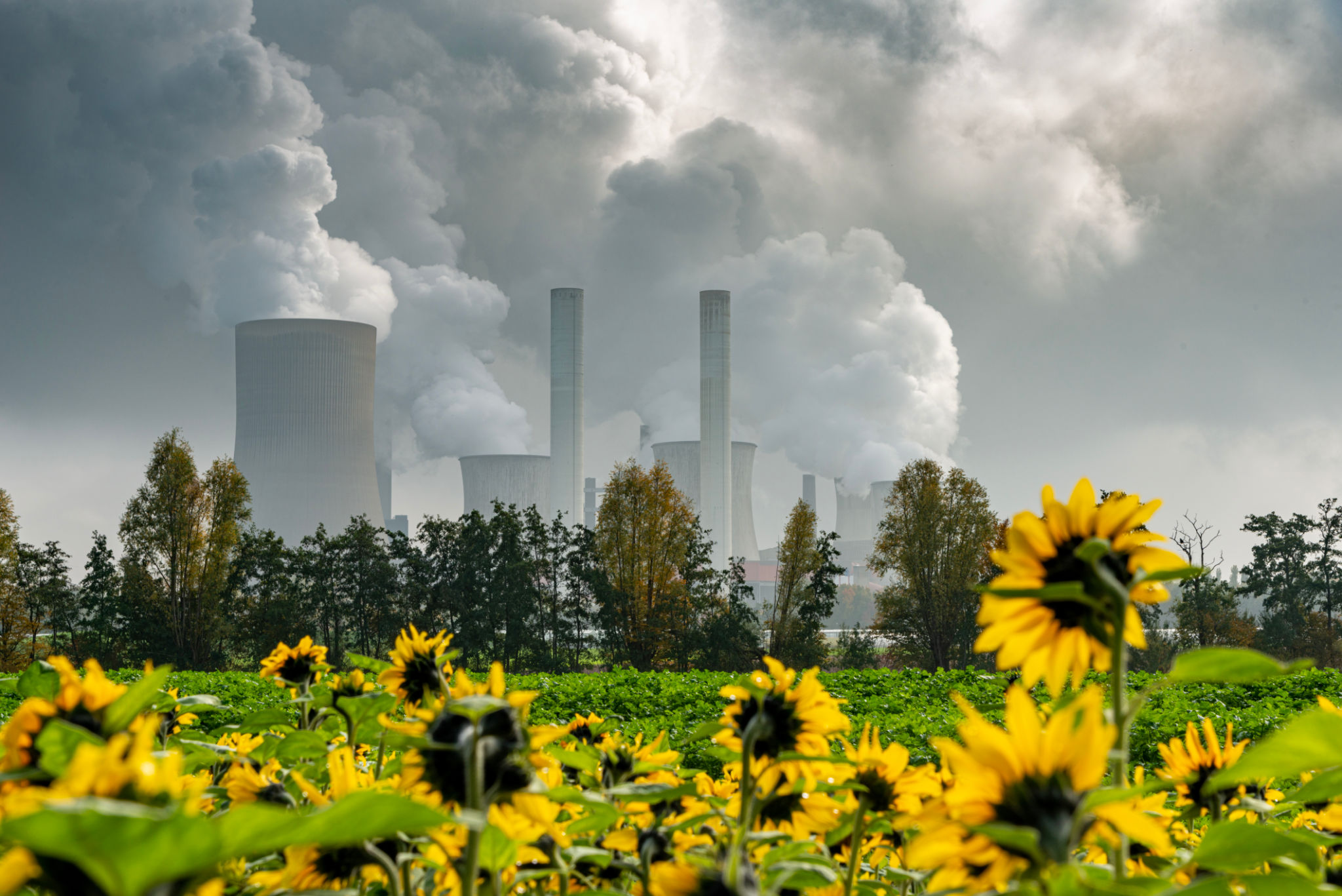 factory seasonal changes