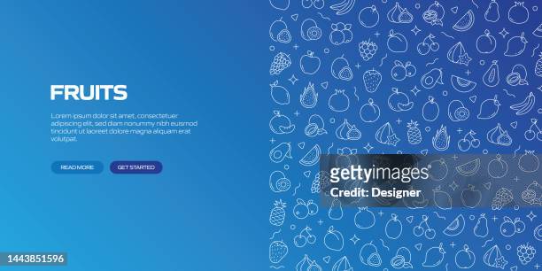 fruits web banner with linear icons, trendy linear style vector - blueberry stock illustrations