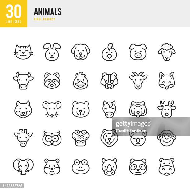 ilustrações, clipart, desenhos animados e ícones de animais - conjunto de ícones vetoriais de linha fina. 30 ícones. pixel perfeito. o conjunto inclui um gato, cão, coelho, hamster, cabra, porco, cavalo, vaca, pato, galinha, coruja, guaxinim, raposa, lobo, urso, veado, macaco, girafa, leão, rinoceronte, - cabeça de animal