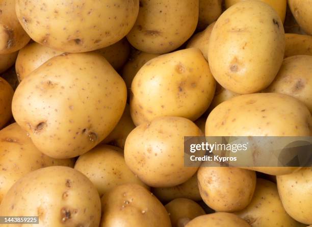 potato - vegetable - pomme de terre photos et images de collection