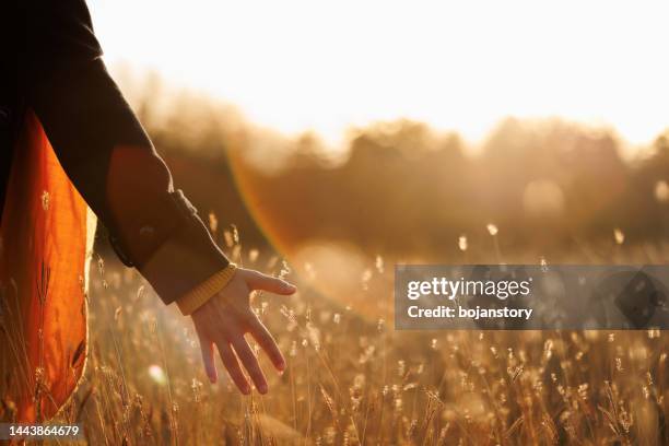 siente la belleza de la naturaleza con todos tus sentidos - women in harmony fotografías e imágenes de stock