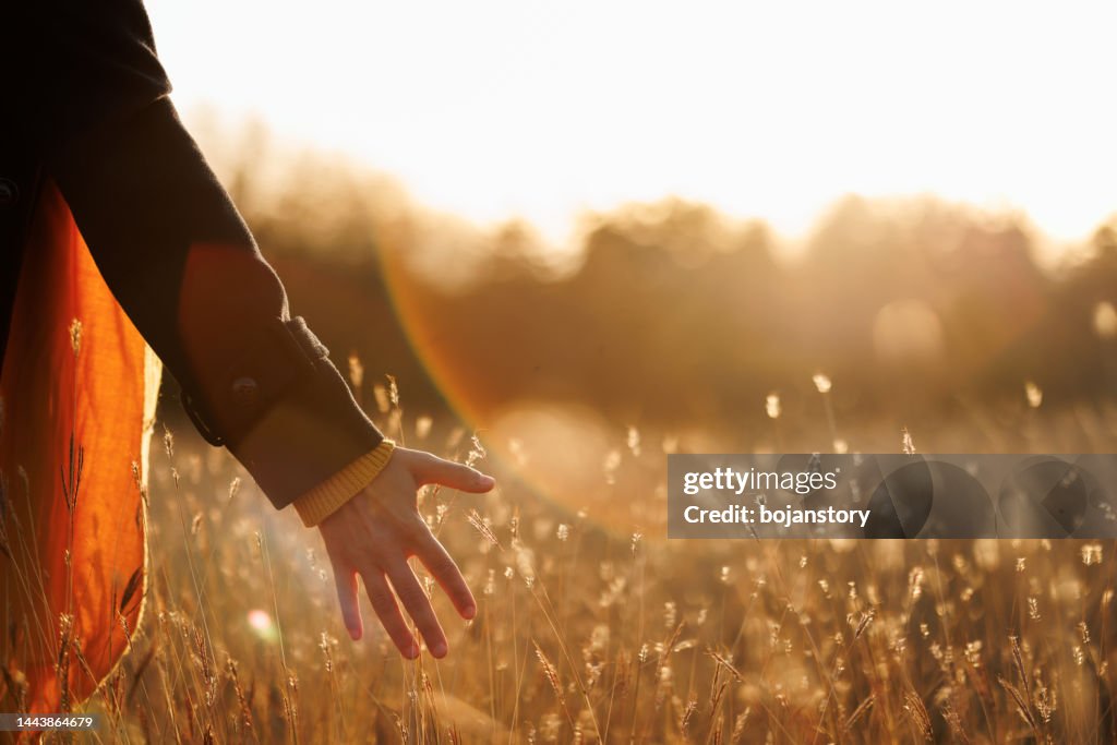 Sinta a beleza da natureza com todos os seus sentidos