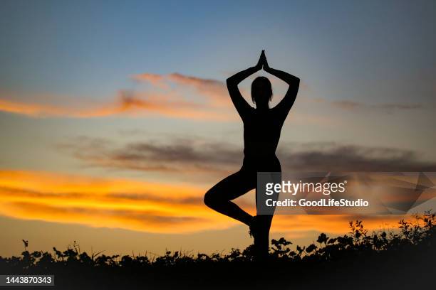 woman exercising yoga - tree position stock pictures, royalty-free photos & images