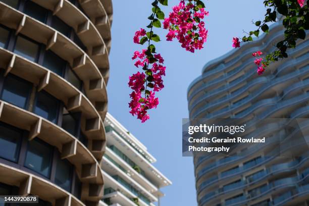Neighborhood Beirut Photos And Premium High Res Pictures Getty Images neighborhood-beirut-photos-and-premium-high-res-pictures-getty-images