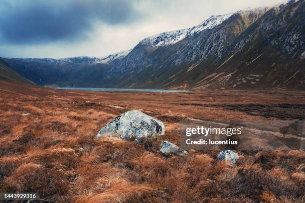 loch einich, cairngorms, schottland, winter - cairngorm berge stock-fotos und bilder
