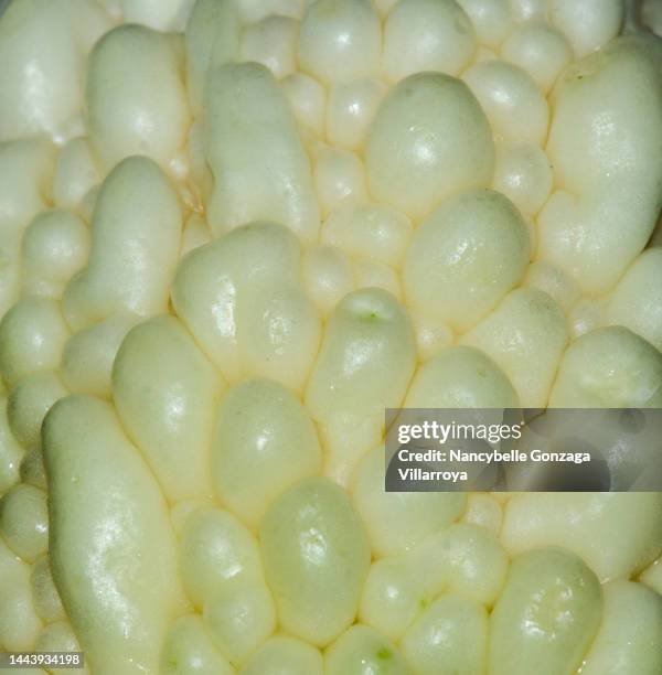 Bumpy Vegetable Photos and Premium High Res Pictures - Getty Images