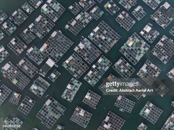 Fish In Grid Grid For Fishing Photos and Premium High Res Pictures - Getty Images