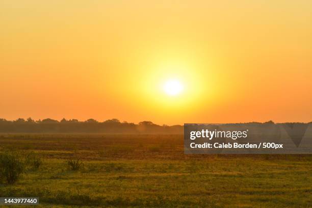 scenic view of field against sky during sunset,bristol,texas,united states,usa - better view sunset stock pictures, royalty-free photos & images