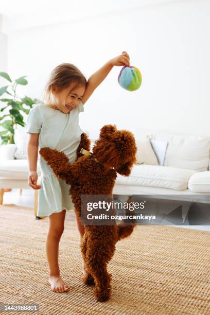 niña jugando con perro en la cama - niño en la sala con juguetes fotografías e imágenes de stock