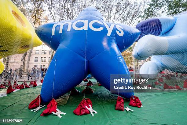 The Macy's balloon is being inflated during the 96th Macy's Thanksgiving Day Parade balloon inflation at Central Park on November 23, 2022 in New...