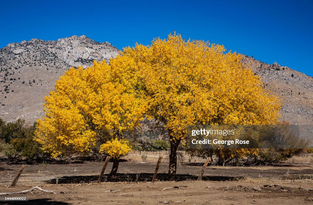 Exploring Autumn in California's Owens Valley
