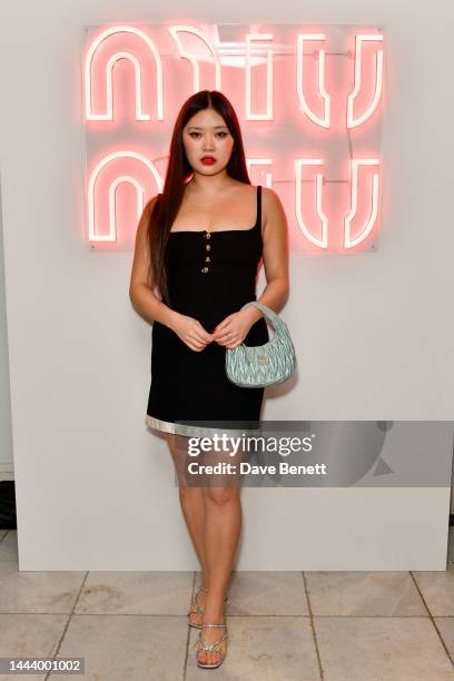 Faye Wei Wei attends the Miu Miu Holiday party at Quo Vadis on November 23, 2022 in London, England.