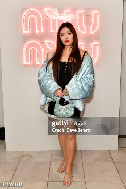 Faye Wei Wei attends the Miu Miu Holiday party at Quo Vadis on November 23, 2022 in London, England.