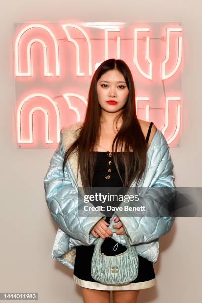 Faye Wei Wei attends the Miu Miu Holiday party at Quo Vadis on November 23, 2022 in London, England.