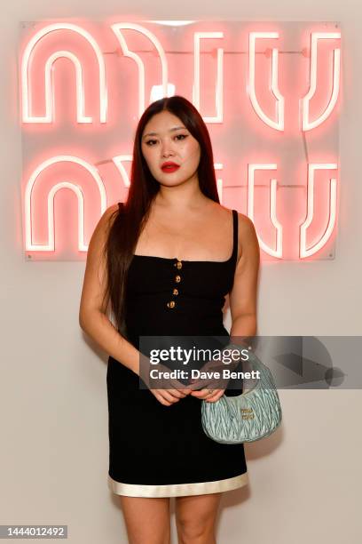 Faye Wei Wei attends the Miu Miu Holiday party at Quo Vadis on November 23, 2022 in London, England.