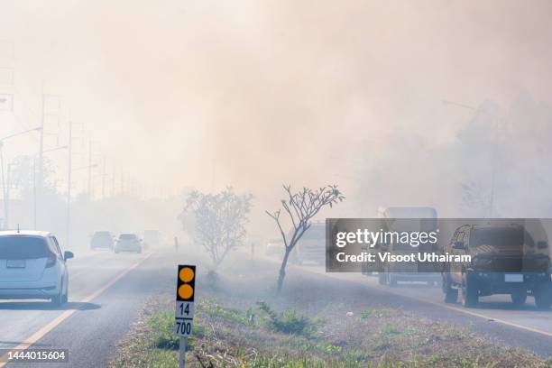 wild fire flames near the road,on a hot day. - truck smog stock pictures, royalty-free photos & images