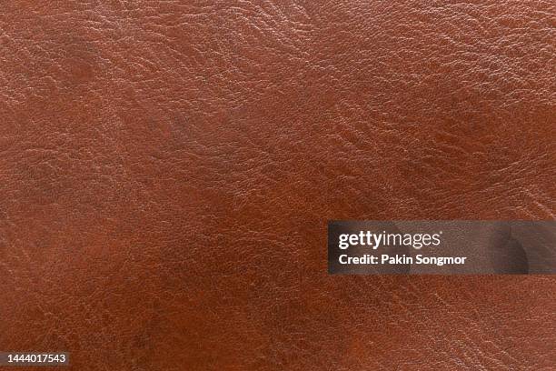 brow leather and a textured background. - leather seat stock pictures, royalty-free photos & images