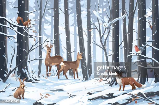 animals in a snowy winter forest - snowy forest stock illustrations