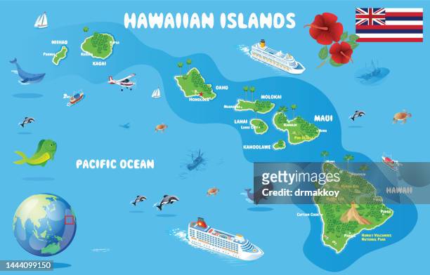 cartoon karte von hawaii - kreuzfahrt stock-grafiken, -clipart, -cartoons und -symbole