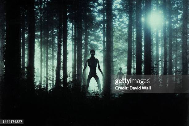 horror, sci fi concept of alien monsters standing in a forest. silhouetted by bright ufo lights at night - außerirdischer stock-fotos und bilder