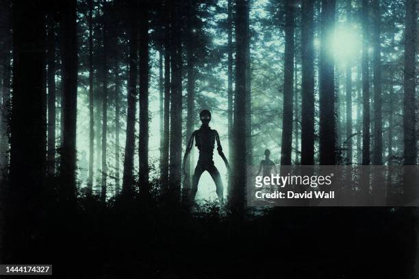horror, sci fi concept of alien monsters standing in a forest. silhouetted by bright ufo lights at night - spooky forest stock pictures, royalty-free photos & images