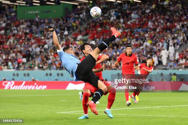 Luis Suarez of Uruguay battles for possession with Younggwon Kim of Korea Republic during the FIFA World Cup Qatar 2022 Group H match between Uruguay...