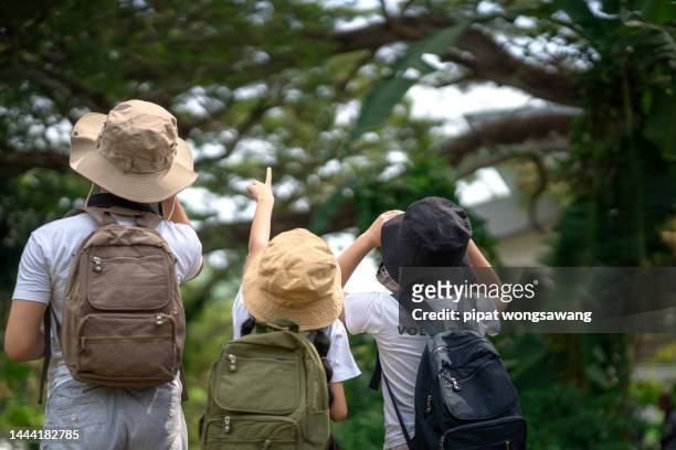children on a nature field trip are using binoculars to look at the animals that live in the treetops. - portrait of school children and female teacher in field stock pictures, royalty-free photos & images
