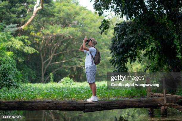 children on a nature field trip are using binoculars to look at the animals that live in the treetops. - carbon footprint reduction stock pictures, royalty-free photos & images